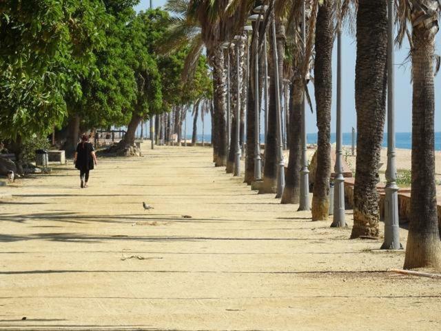 Апартаменты Duplex En Frente De La Playa Al Lado De Barcelona Кане-де-Мар Экстерьер фото